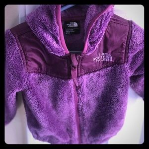 Purple North Face
